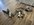 IMG_3849.jpeg