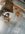 IMG_6125.jpeg