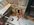 IMG_6123.jpeg