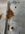 IMG_6121.jpeg
