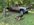 IMG_3364.jpeg