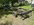IMG_3370.jpeg