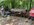 IMG_3371.jpeg