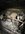 IMG_6913.jpeg