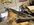 IMG_0609.jpeg