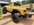 IMG_2731.jpeg