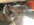 IMG_2733.jpeg