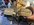 IMG_0646.jpeg