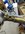 IMG_0640.jpeg