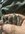 IMG_5727.jpeg