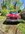 IMG_7041.jpeg