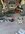 IMG_0612.jpeg