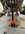 IMG_0614.jpeg