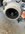 IMG_0615.jpeg