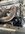 IMG_8896.jpeg IMG_8896.jpeg