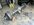 IMG_8315.jpeg