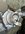 IMG_8311.jpeg