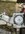 IMG_8301.jpeg