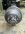 IMG_8305.jpeg