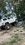 IMG_3417.jpeg