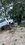 IMG_3419.jpeg