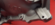 BD79F9FE-0509-4393-827B-047FEB119C6B.png