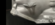 7841ABD9-C3AE-41FF-80C7-A0D47B2C007A.png