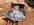 IMG_2778.jpeg