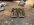 IMG_8415.jpeg