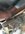 IMG_9813.jpeg