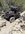 IMG_0657.jpeg