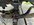 IMG_2997.jpeg