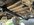 IMG_5370.jpeg