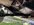 IMG_5369.jpeg