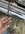 IMG_4120.jpeg