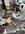 IMG_4103.jpeg