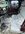 IMG_4104.jpeg