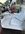IMG_4520.jpeg