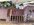 IMG_4931.jpeg