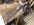 IMG_8426.jpeg