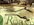 IMG_8430.jpeg