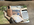 1692283035329.png
