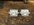 IMG_8417.jpeg