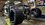IMG_5413.JPEG
