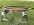 IMG_7111.jpeg