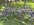 IMG_7114.jpeg