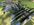 IMG_7119.jpeg