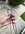 EE8513E6-6668-4C42-832C-DB0F8F7A27BC.jpeg
