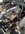 46BD721A-25D0-4819-94DF-8F9348F91EDA.jpeg