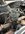 9402839A-340E-4B5D-8658-1DFEC370BB89.jpeg